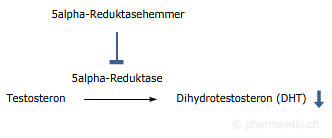 Propecia wirkungen