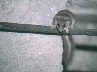 Schäden durch cialis Schäden durch cialis